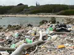 Plastic washed up along shore