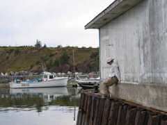Ken nearing end of pier to retrieve line